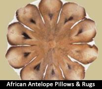 African Antelope Pillows