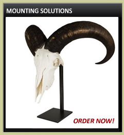 Mounting Solutions
