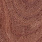 Black Walnut