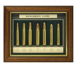 Dangerous Game