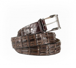Nile Crocodile Hornback Belt in Espresso