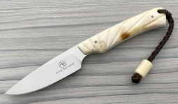 Marmoset in Natural Warthog Tusk