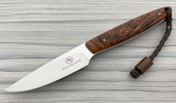 Bateleur in Desert Ironwood