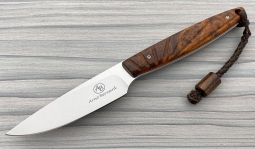 Bateleur in Desert Ironwood