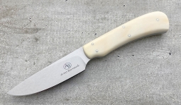 Jackal in Warthog Tusk