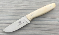 Wildebeest in Warthog Tusk
