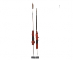 Two Naga Headhunter Spears