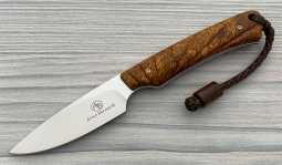 Marmoset in Desert Ironwood