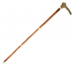 Staghorn Cane
