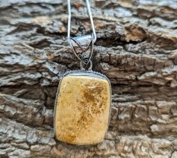 Tan Rectangle Fossil (#11)