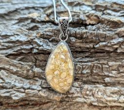 Tan Teardrop Fossil (#13)