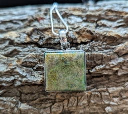 Square Fossil (#16)
