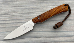 Marmoset in Desert Ironwood