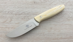 Wildebeest in Warthog Tusk
