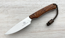 Marmoset in Desert Ironwood