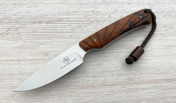 Marmoset in Desert Ironwood