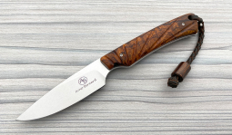 Marmoset in Desert Ironwood