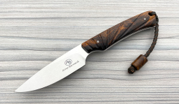 Marmoset in Desert Ironwood