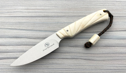 Marmoset in Natural Warthog Tusk