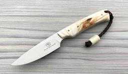 Marmoset in Natural Warthog Tusk