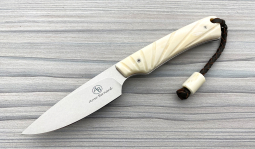 Marmoset in Natural Warthog Tusk