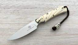 Marmoset in Stabilized Warthog Tusk