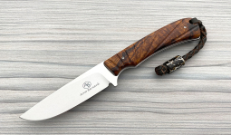 Badger in Desert Ironwood