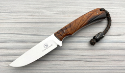 Badger in Desert Ironwood