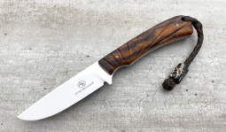 Badger in Desert Ironwood