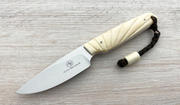 Bongo in Natural Warthog Tusk