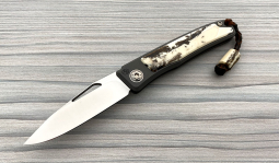 Rinkhals in Stabilized  Warthog Ivory