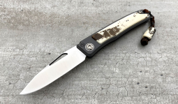 Rinkhals in Stabilized  Warthog Ivory