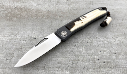 Rinkhals in Stabilized  Warthog Ivory