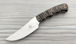 Sailfish in Mammoth Molar