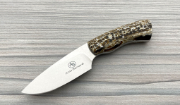 Gecko in Kudu Bone