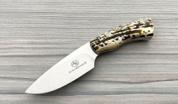 Gecko in Kudu Bone