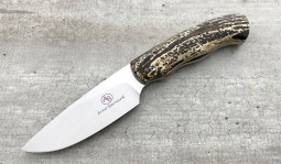 Zebra in Kudu Bone