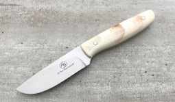 Wildebeest in Warthog Tusk