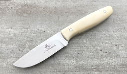 Wildebeest in Warthog Tusk