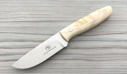 Wildebeest in Warthog Tusk