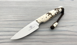 Bongo in Stabilized Warthog Tusk