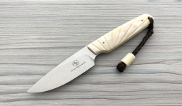 Bongo in Natural Warthog Tusk