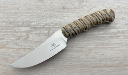 Sailfish in Mammoth Molar