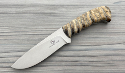 Hippo in Mammoth Molar