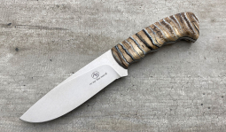 Hippo in Mammoth Molar