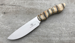 Lion in Mammoth Molar