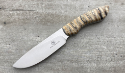 Lion in Mammoth Molar