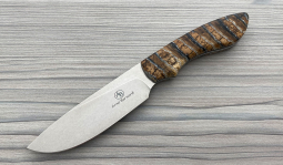 Lion in Mammoth Molar