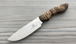 Lion in Mammoth Molar