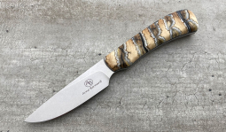 Jackal in Mammoth Molar